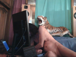 Sissidomination profile