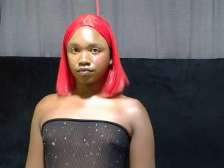 TallhornyTrans profile