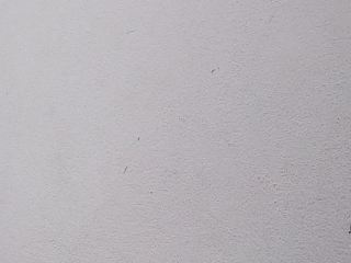 SunflowerBae profile