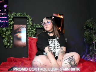 Gomory_kitty profile